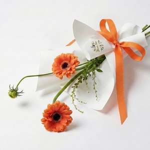 Frontpage: Tangerine Breeze