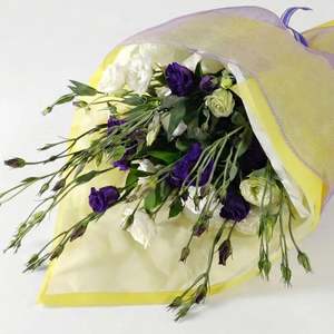 Frontpage: Amethyst Jewel