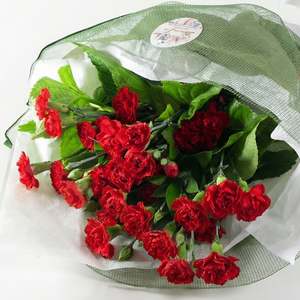 Best Sellers: Spray Carnation