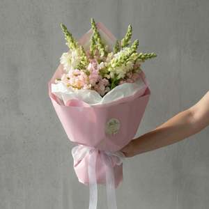 Best Sellers: Lovely Snap Dragon