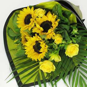 Best Sellers: Sun Shine