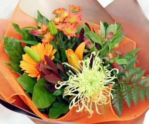 Arrangements: Enner Glynn