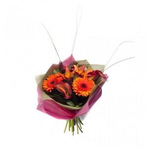 Arrangements: Motueka Valley