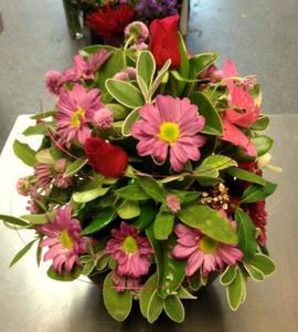 Anniversary: Quinnys Bush