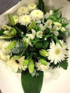 Arrangements: Wainui