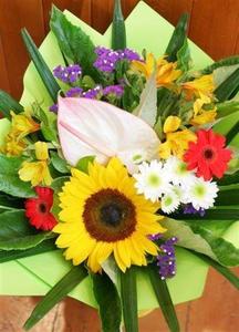 Anniversary: Annesbrook