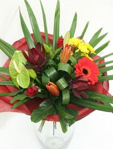 Arrangements: Wakatu