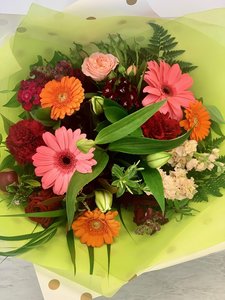 Birthday: Cuteness