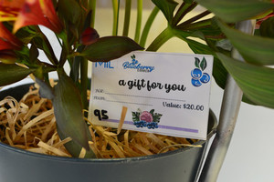 Products: BBC Gift Vouchers $20.00 Blueberry Corner