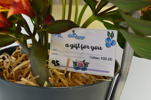 Products: BBC Gift Vouchers .00 Blueberry Corner