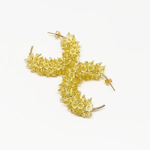 Bloom, Lemon Pie, Gold