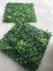 2 Foliage Squares 1mtr sq - Blue Moon Rummage