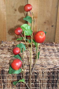 3 Apple Branch Stems - Blue Moon Rummage