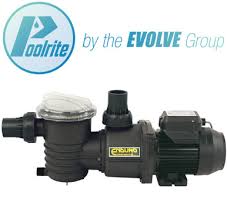 All Pool Equipment And Chemicals: Poolrite Enduro pump
