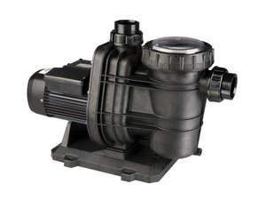 Pool Pumps: Davey Typhoon Pool pumps