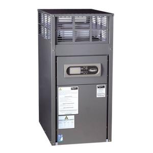 Pool Heat Pumps: Raypak Spa Gas Heater