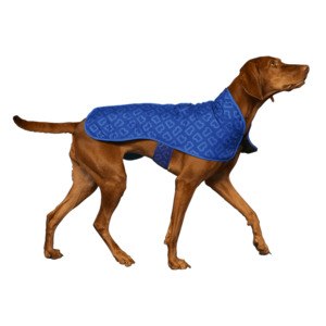 B Monogram: Dog Jacket Puddle Blue