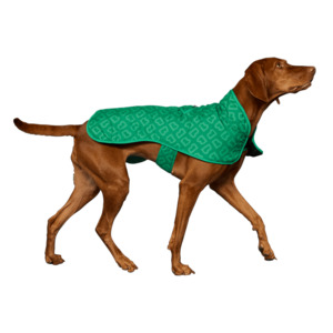 B Monogram: Dog Jacket Park Green