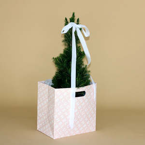 PRE-ORDER: Mini Fresh Christmas Tree