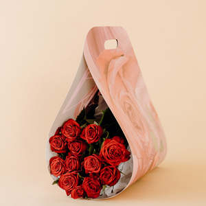 Sending Love: 1 Dozen Red Roses Carrier