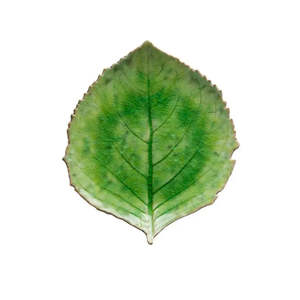 Ceramics: Riviera Leaf Dish
