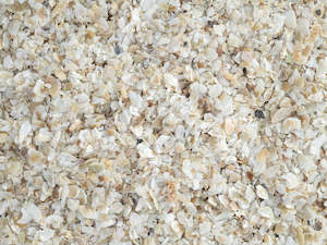 Topflite: Topflite: Oyster Shell Fine Grit