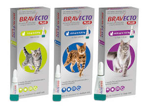 On Sale: Bravecto: Flea & Tick & Worm Spot On Plus for Cats