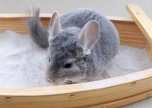 Mice: Floofs: Chinchilla Dust - 500gram