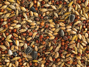 Topflite: Wild Bird Seed Mix Coarse
