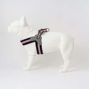 HUGO&HUDSON: Step-In Easy Harness RWB