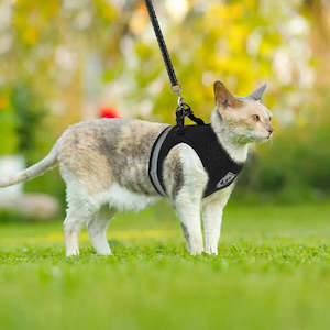 Pet Wear: Soft Mesh Cat Harness - Black
