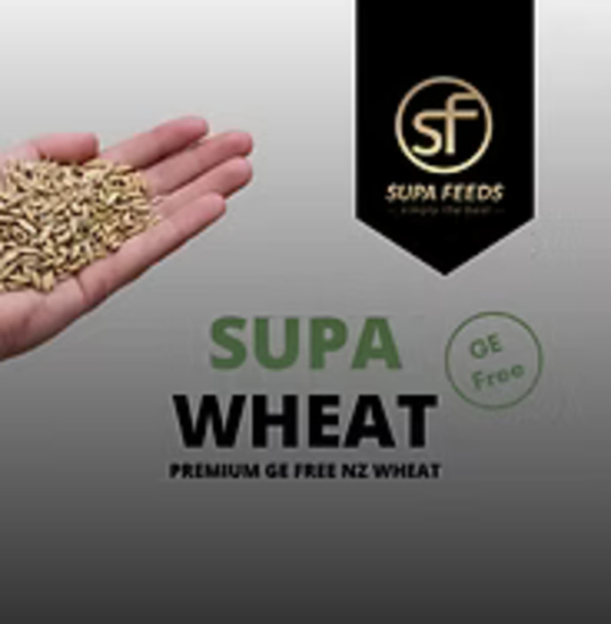 Birds Wild: Supa Feeds - Supa Wheat