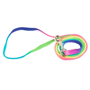 Rainbow Puppy Lead 120cm