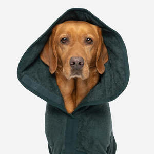 Dogs: RUFF&TUMBLE: Dog Drying Coat Green
