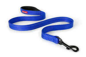 Products: Ezydog Essential Lead Blue 120cm