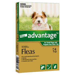Dogs: Advantage Flea and Lice Treatment for Dogs (and Puppy) 4 x 1 month Spot on dose