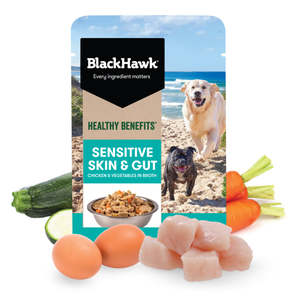 Dogs: BlackHawk Adult Wet - Health Benefits  - Sensitive Skin and Gut - 85gram
