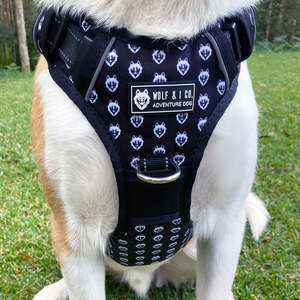 Wolf and Co - "Wolf Pack" - Reflective No Pull Dog Harness - Extra Large