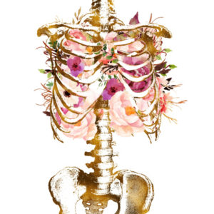 Products: Body Fix Gift voucher 60min