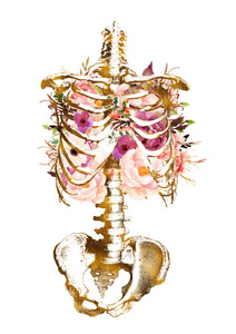 Products: Lymphatic drainage