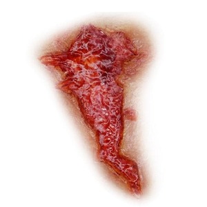 Silicone Mould- Flesh Wound 009