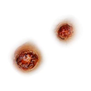 Silicone Mould- Bullet Holes