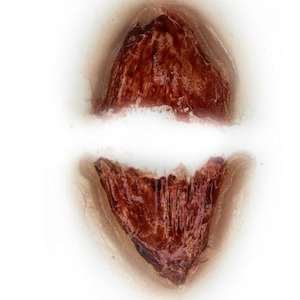 Silicone Mould- Bloody Eye Bags