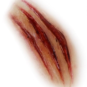 Silicone Moulds: Silicone Mould- Animal Scratch