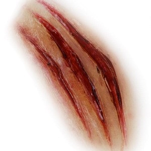 Silicone Moulds: Silicone Mould- Animal Scratch