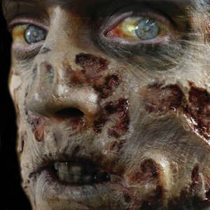 Clearance Fx: Zombie Rot 3D FX Transfers