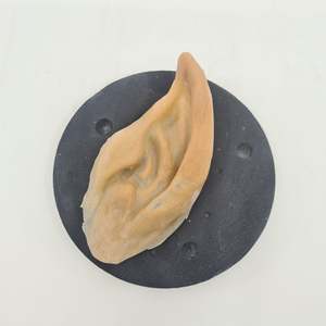 Halloween: Demon Ears