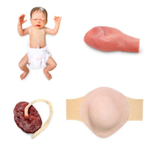 Skills Trainers: Maternity and Neonatal Bundle