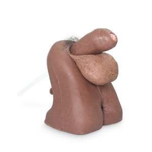 Skills Trainers: Male Genitalia Trainer