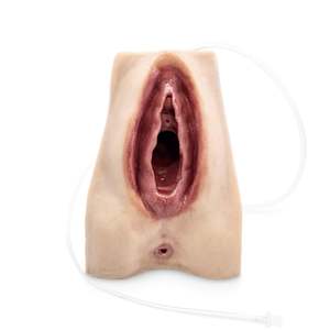 Advanced Perineal Suture Trainer